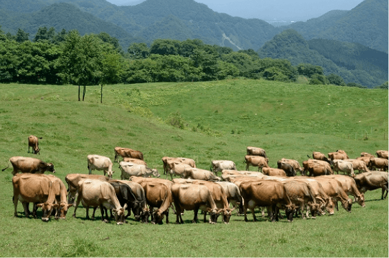 榛名山のふもとに位置する榛東村